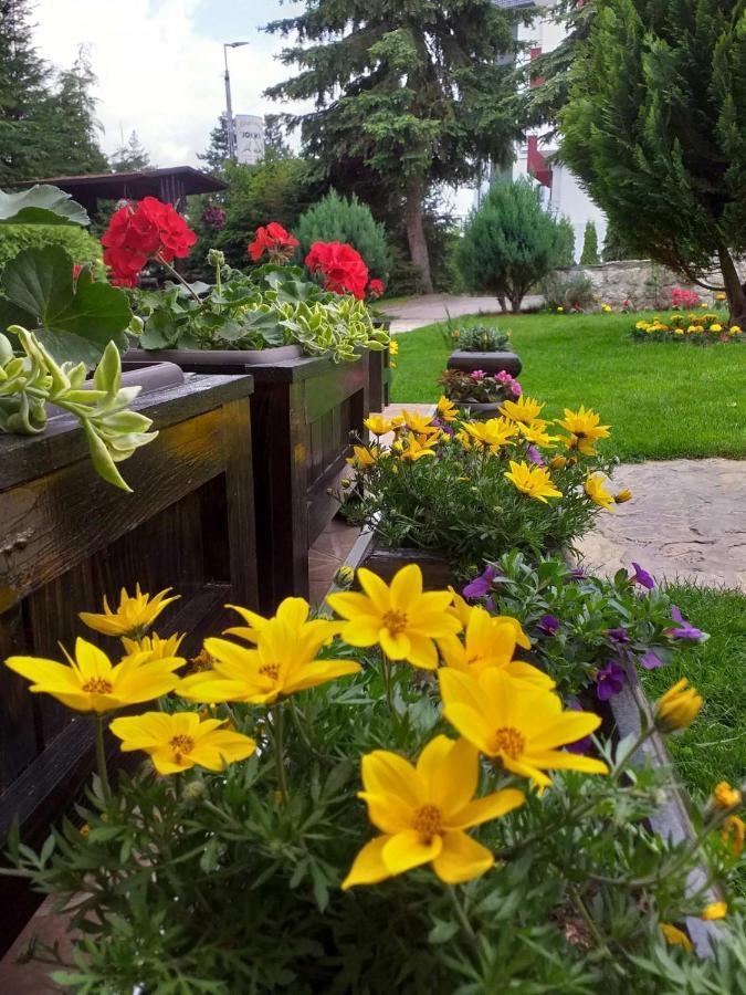 Apartmani Jokic Zlatibor Esterno foto